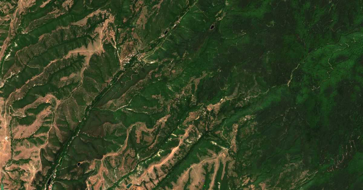 Satellite map of Golem Tsalim