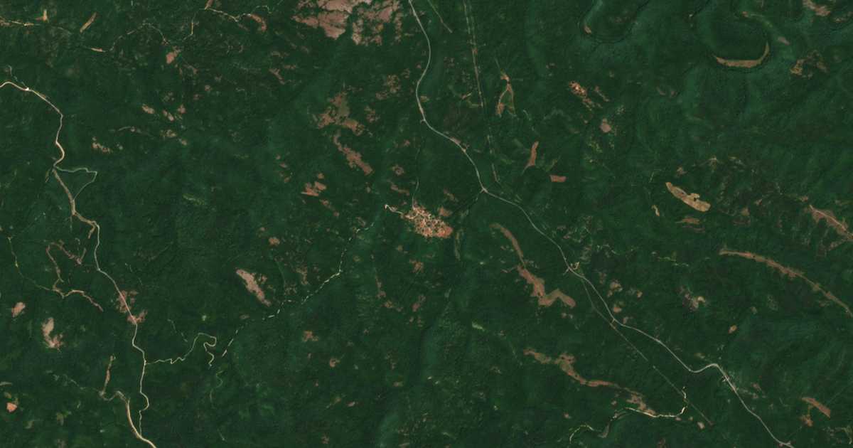 Satellite map of Brashlyan