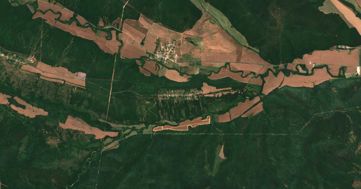 Satellite map of Priseltsi