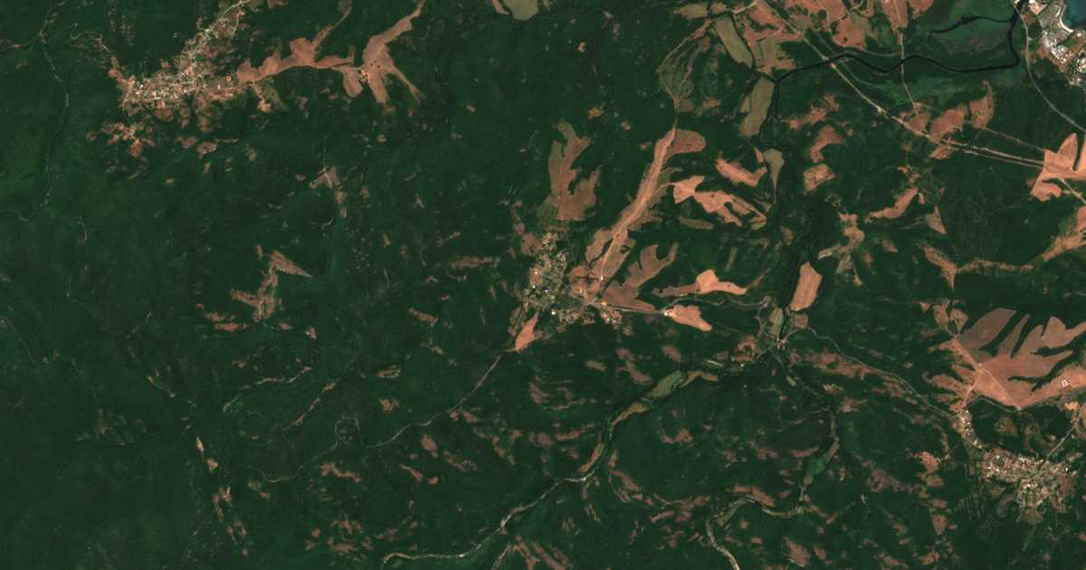 Satellite map of Fazanovo