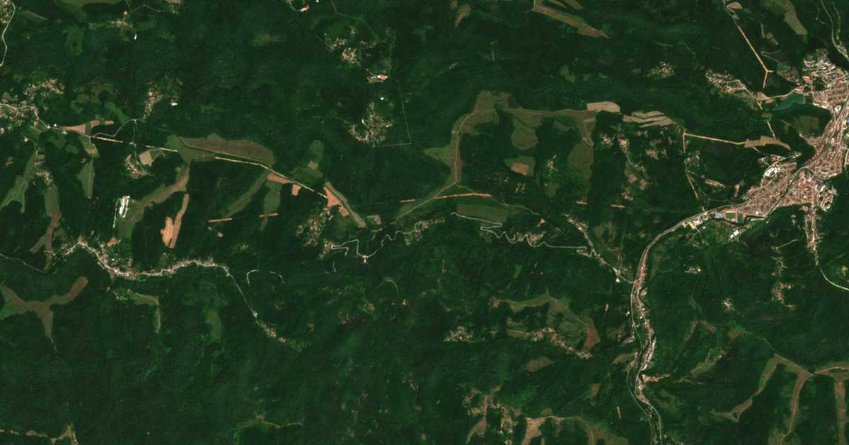 Satellite map of Nikolaevo