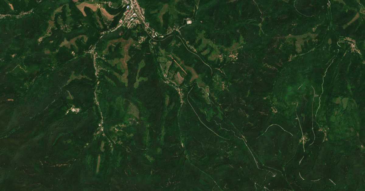 Satellite map of Radevtsi