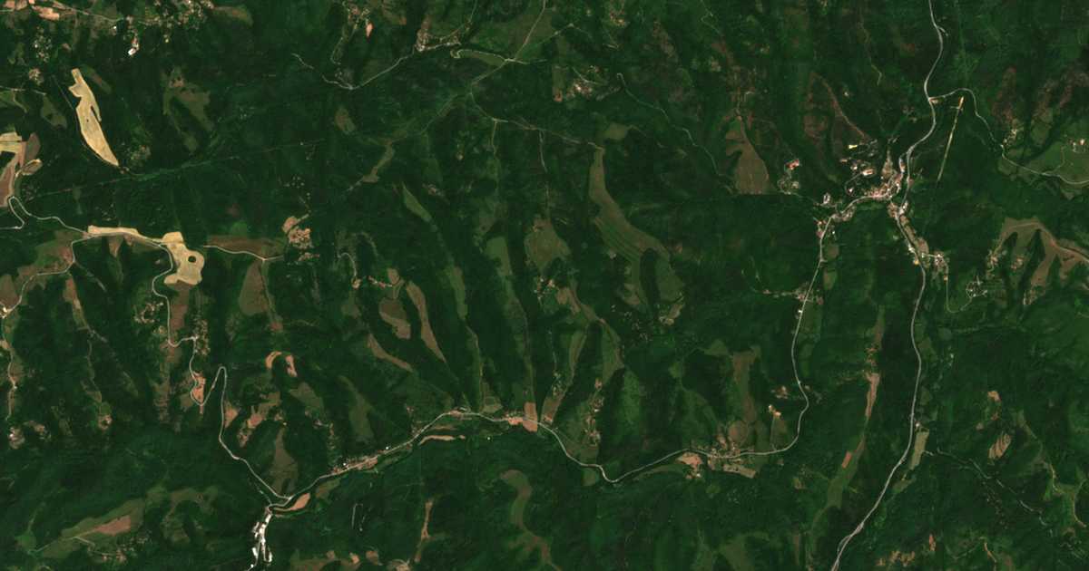 Satellite map of Raevtsi