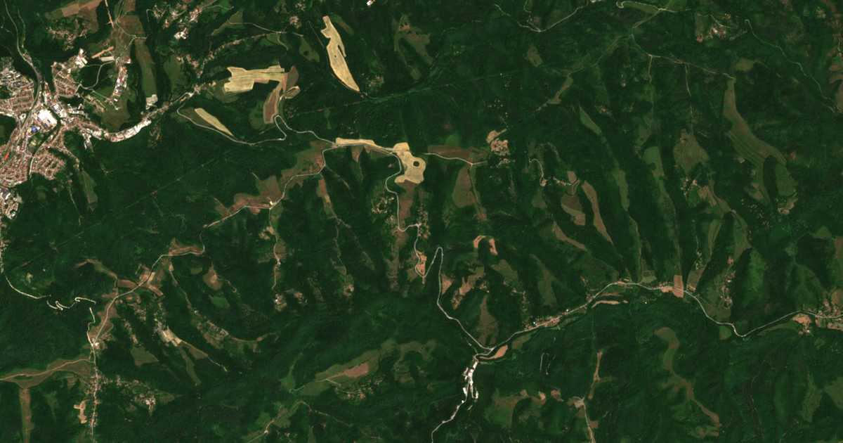 Satellite map of Raynushkovtsi