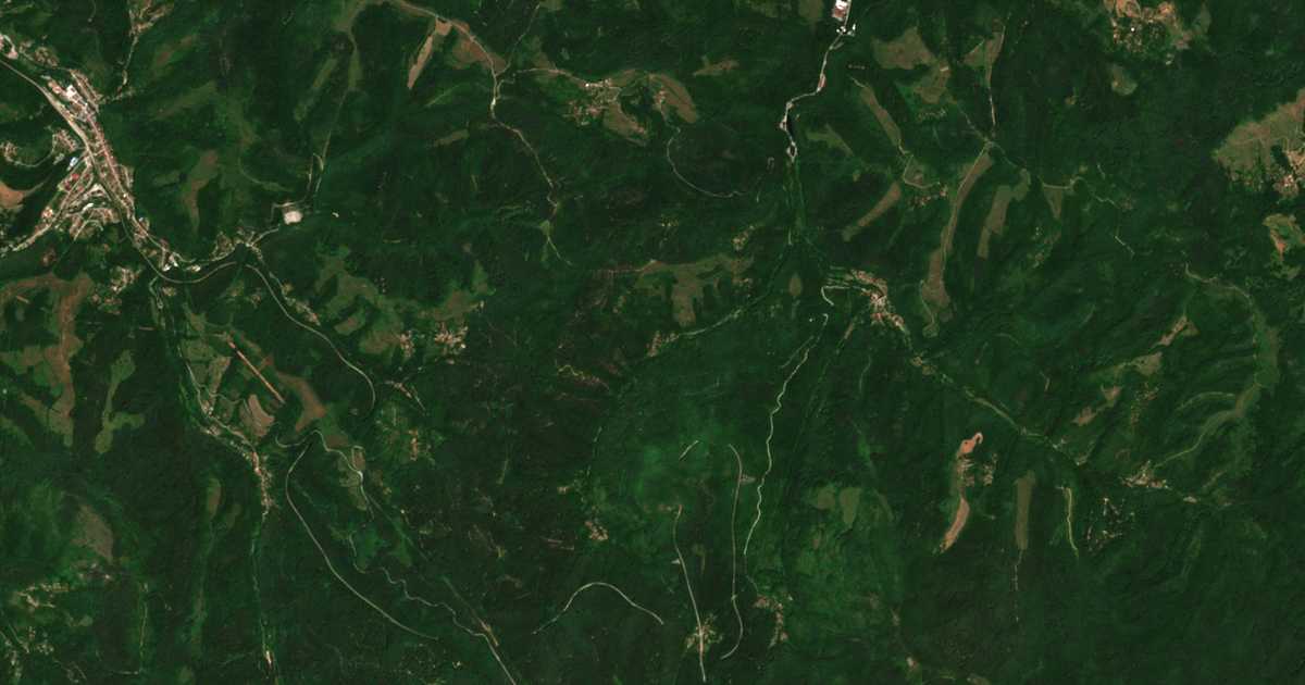 Satellite map of Ruevtsi