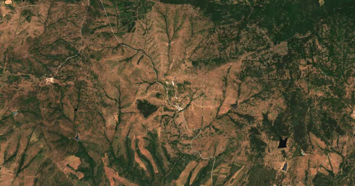 Satellite map of Dripchevo