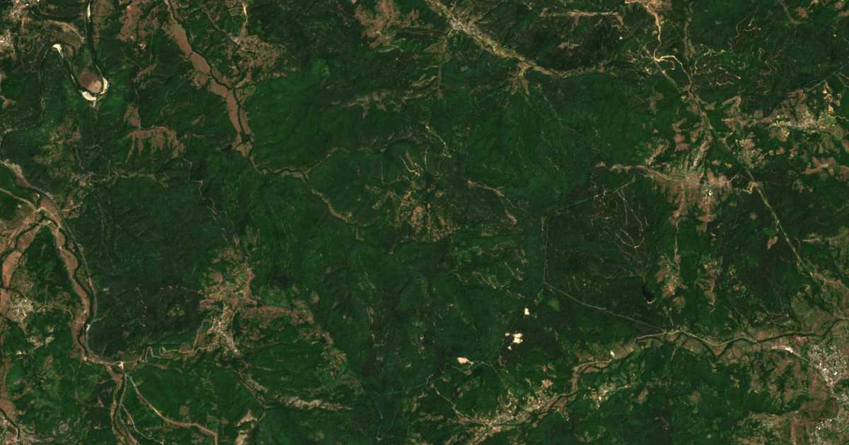 Satellite map of Tsarino