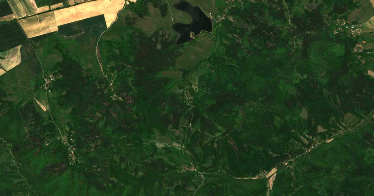 Satellite map of Leshnikovtsi