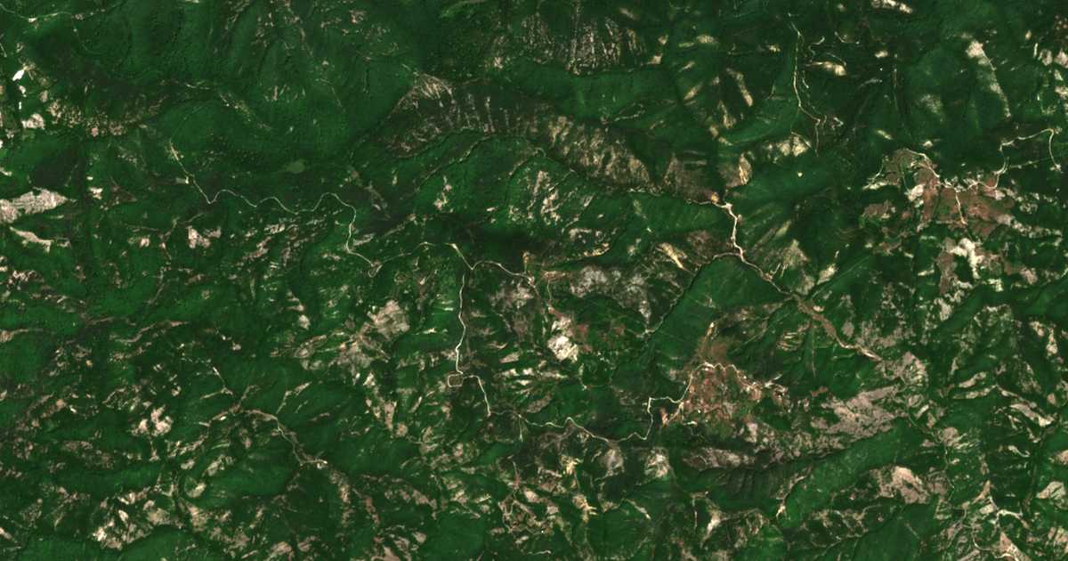 Satellite map of Bor