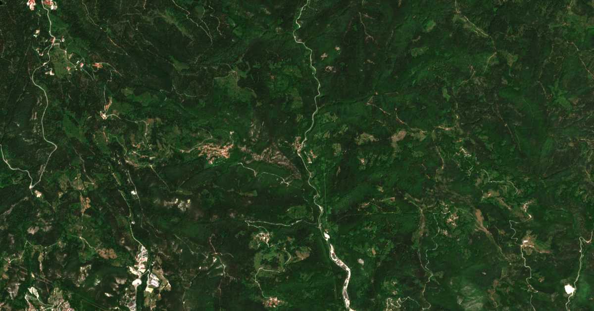 Satellite map of Bostina