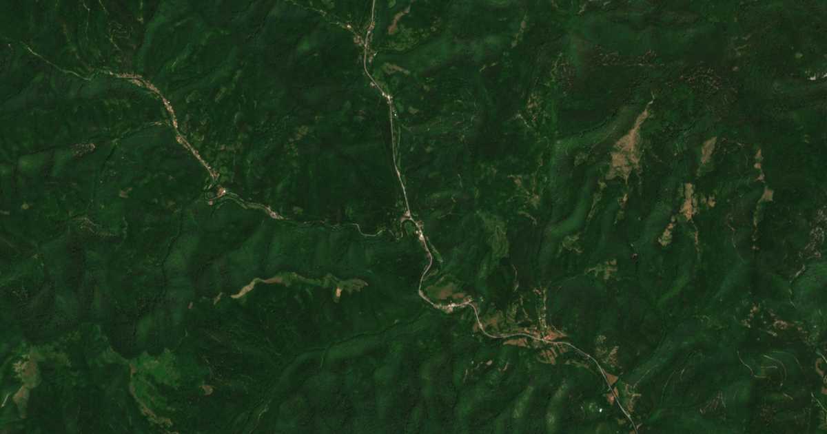 Satellite map of Pchelinovo