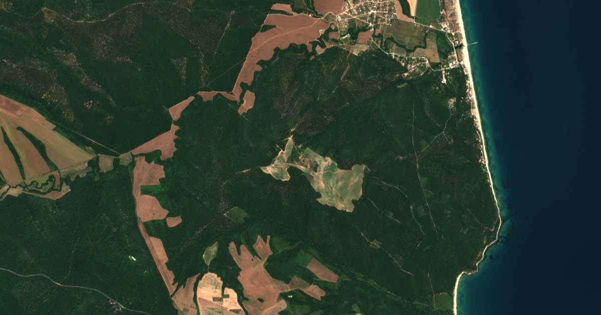 Satellite map of Samotino